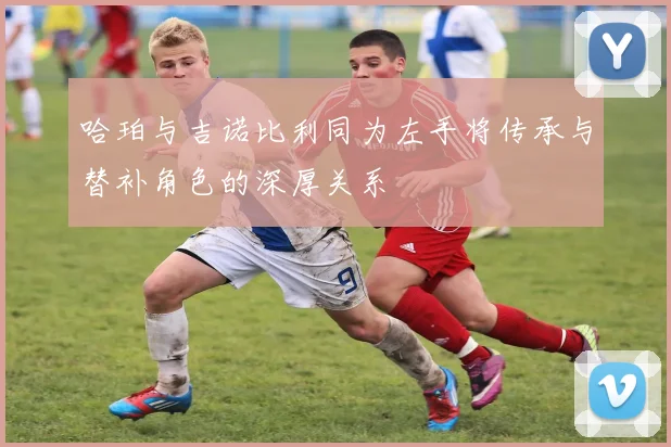 哈珀与吉诺比利同为左手将传承与替补角色的深厚关系